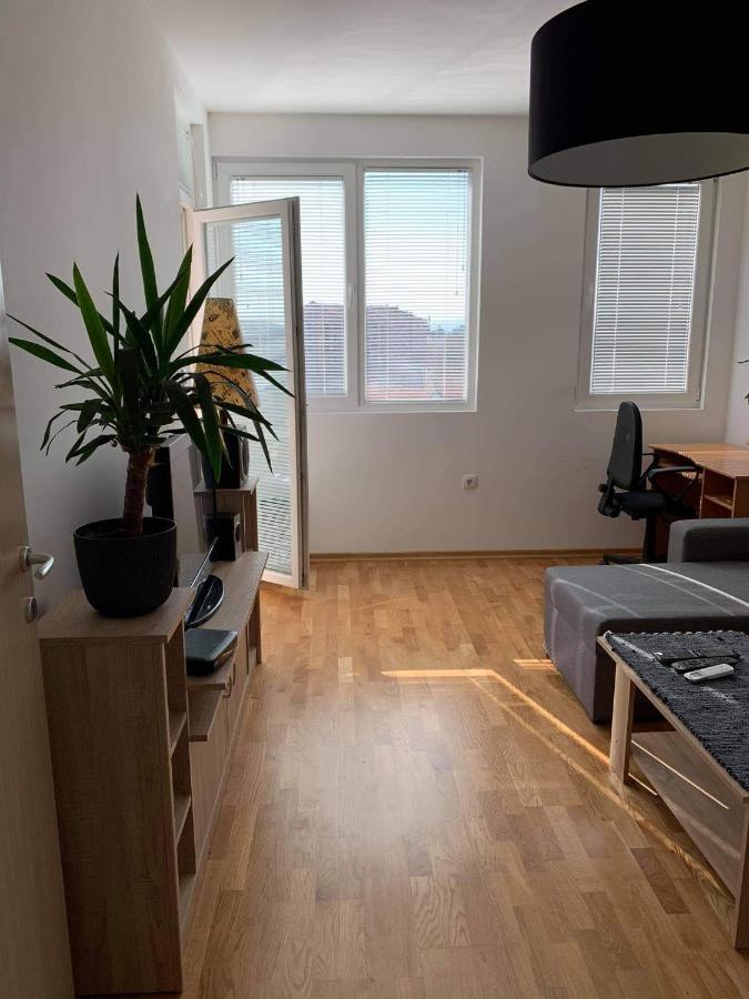 Apartman Aleksic Nisz Zewnętrze zdjęcie